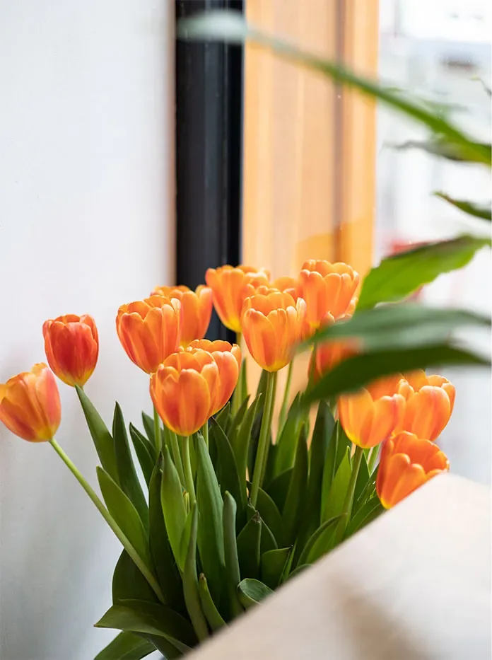 Un bouquet de tulipes orange posé devant la fenêtre du café