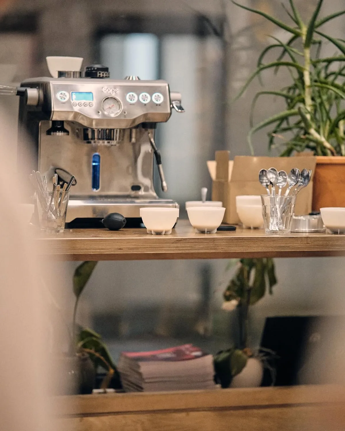 La machine à espresso et les bols de cupping alignés sur l'étagère en bois